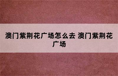 澳门紫荆花广场怎么去 澳门紫荆花广场